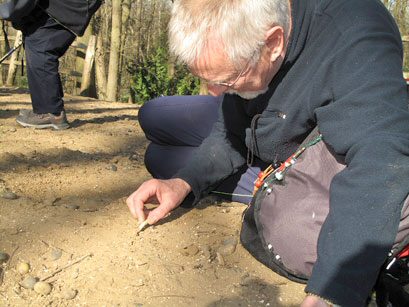 Fossil Hunting